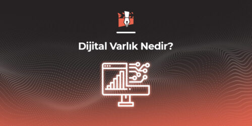 Dijital Varlık Nedir?