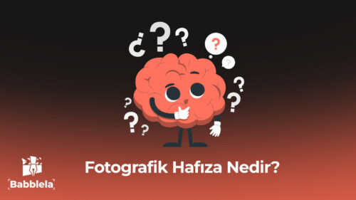 Fotografik Hafıza Nedir
