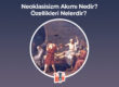 Neoklasisizm Akımı Nedir? Özellikleri Nelerdir?