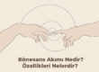 Rönesans Akımı Nedir? Özellikleri Nelerdir?