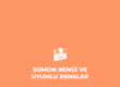 Somon Rengi Nedir? Uyumlu Renkleri Nelerdir?